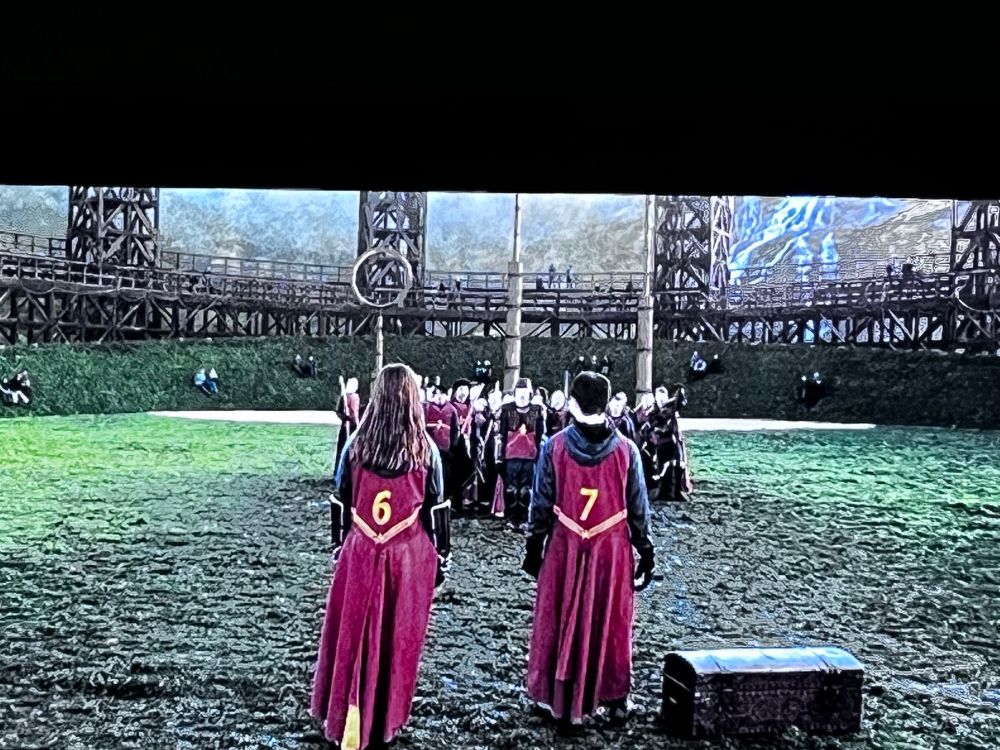 Six, Seven. Harry Potter and the Half Blood-Prince. 