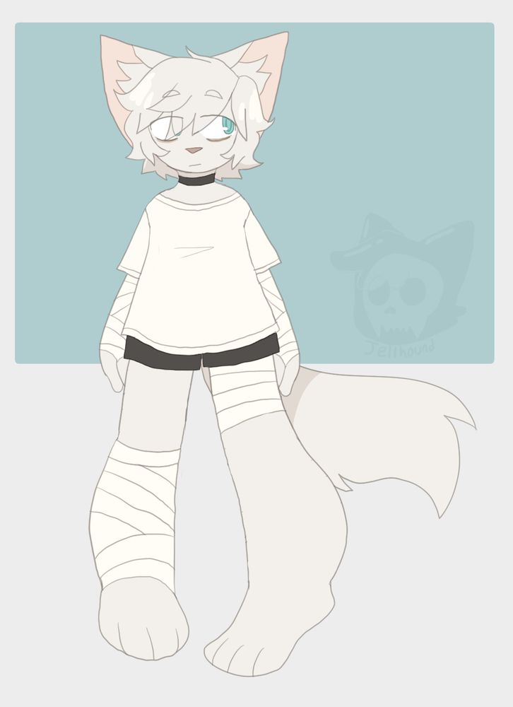 a digital drawing of an anthropomorphic canine with white fur. he has bandages on his arms and legs. he's wearing an oversized white shirt and black shorts. there's a black choker on his neck.
the background is white with a blue rectangle.