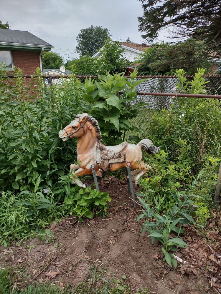 Garden with many plants. A plastic bouncy horse sits among the plants.