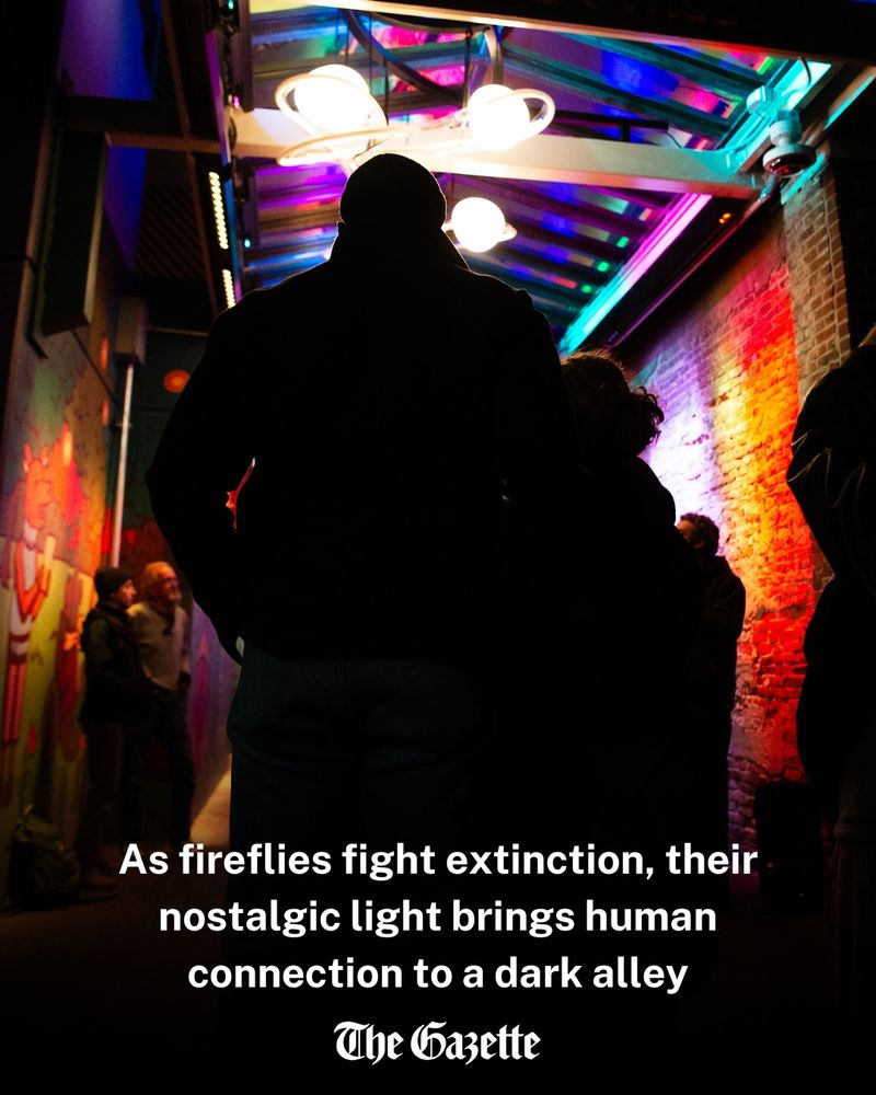 Community members listen as lighting designer Mike Lambert, of Des Moines, project manager Steve Miller, of Iowa City, and sculpter Hannah Givler, of Iowa City, give a speech about the “Twilights” art installation at the Pedestrian Mall in downtown Iowa City on Friday, November 21, 2025. (Elizabeth Wood/The Gazette)