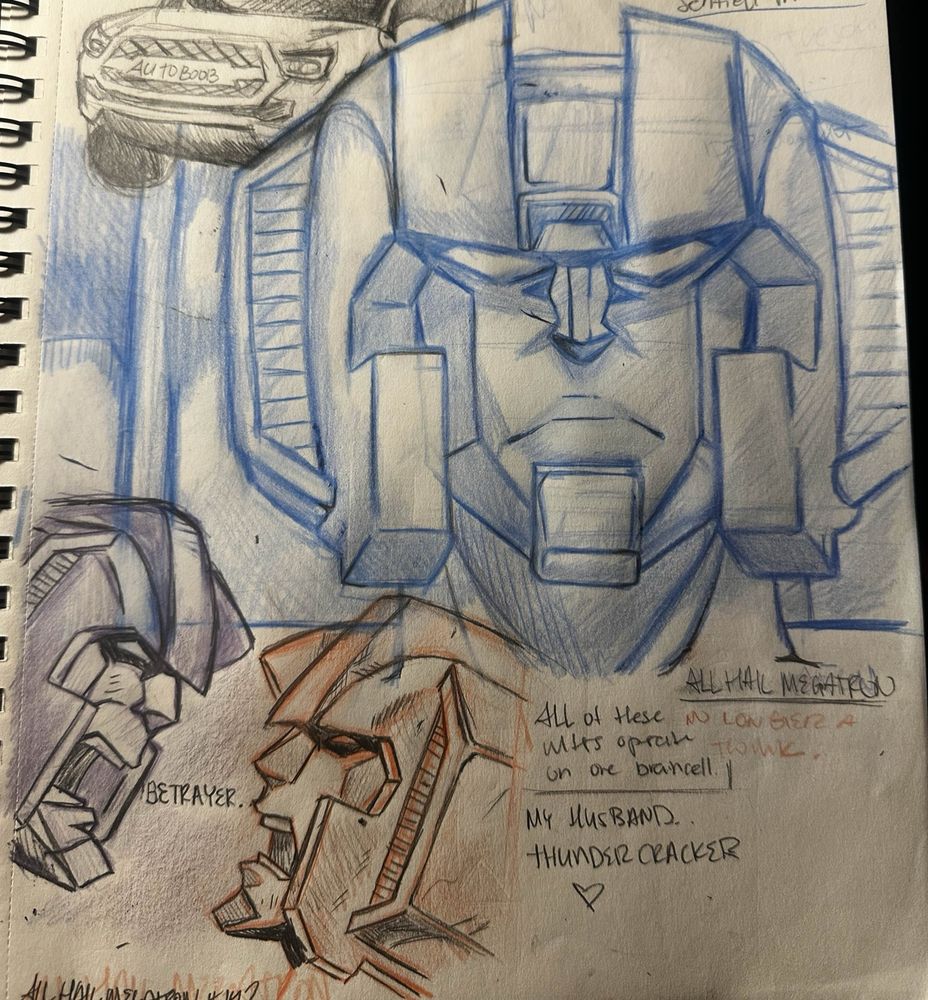 I didn’t color coordinate them apart from skywarp lmao apologies 