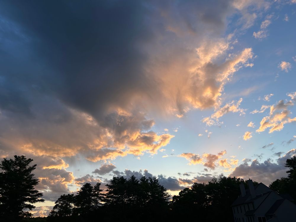 A sunset sky with layers of altocumulus and stratocumulus clouds lit by golden and orange light. Darker cloud masses hang to the left, while scattered, glowing tufts stretch across a blue sky. The silhouetted tree line and rooflines below frame the tranquil transition from day to evening.
