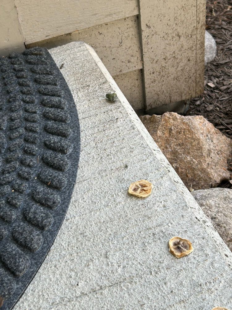 A concrete doorstep with a dark doormat on the left. On the step are three banana chips placed in a line, and a small pebble near the edge, as if left in exchange. In the background are rocks and the corner of a house.
