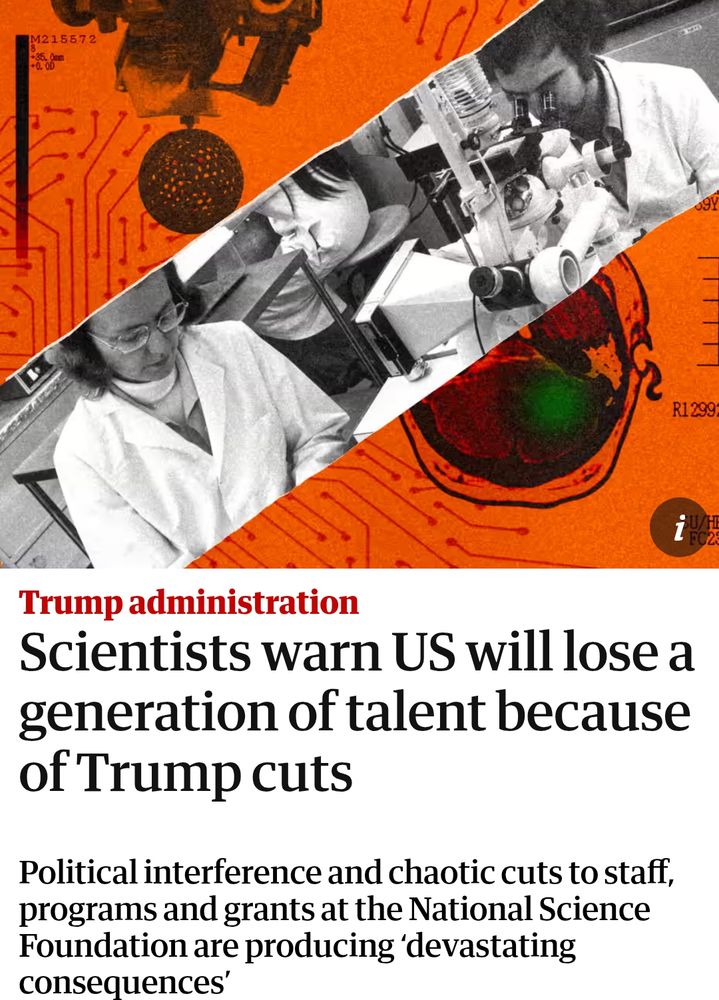 Trump administration. Scientists warn US will lose a generation of talent because of Trump cuts. Political interference and chaotic cuts to staff, programs and grants at the National Science Foundation are producing ‘devastating consequences’. Screenshot of The Guardian. 