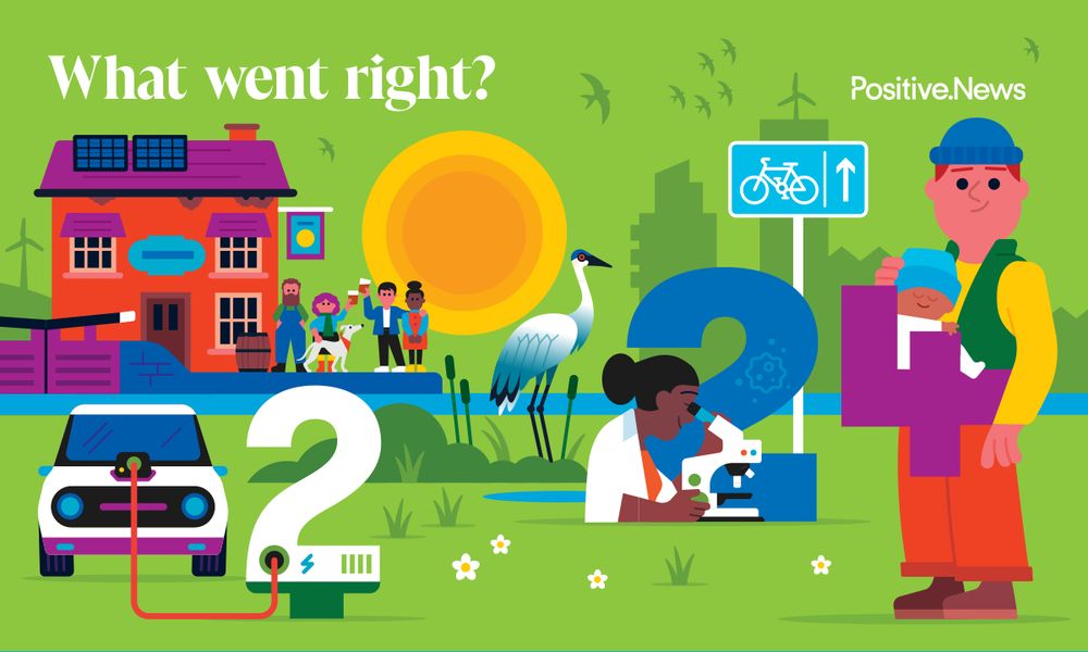 A round up of good news stories from 2024