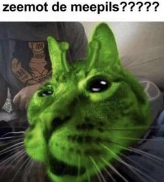 Comment image