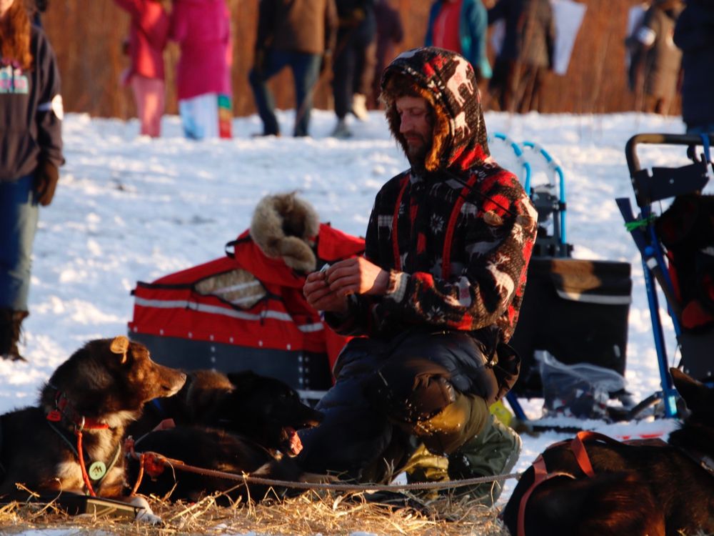 Nic Petit kneeling in the bay with some of his kids aka dogs 