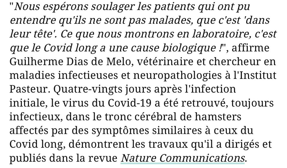 "Nous espérons soulager les patients qui ont pu entendre qu'ils ne sont pas malades, que c'est 'dans leur tête'. Ce que nous montrons en laboratoire, c'est que le Covid long a une cause biologique !", affirme Guilherme Dias de Melo, vétérinaire et chercheur en maladies infectieuses et neuropathologies à l'Institut
Pasteur. Quatre-vingts jours après l'infection initiale, le virus du Covid-19 a été retrouvé, toujours infectieux, dans le tronc cérébral de hamsters affectés par des symptômes similaires à ceux du Covid long, démontrent les travaux qu'il a dirigés et publiés dans la revue Nature Communications.