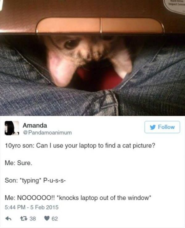 [tweet from @Pandamoanimum 5 Feb 2015]
*image of cat peeking out from a laptop in lap* 
10yro son: Can I use your laptop to find a cat picture?
Me: Sure
Son: *typing* P-u-s-s-
Me: NOOOOOO!! *knocks laptop out of the window*