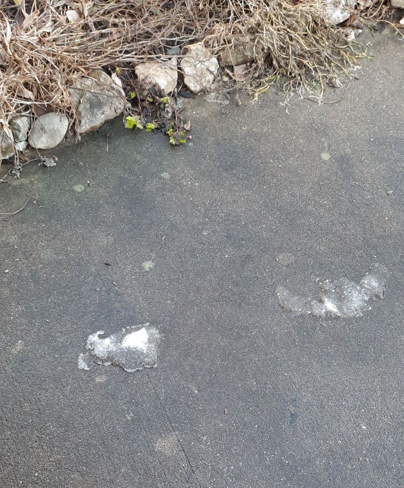 melting ice on pavement near Cincinnati 