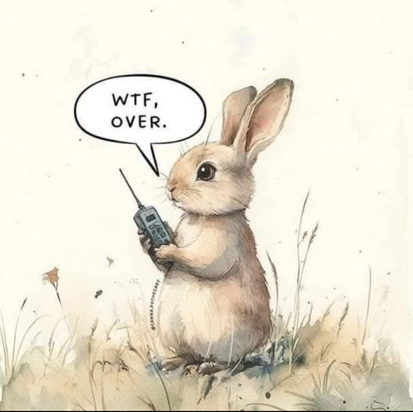 A rabbit talking into a walkie talkie. ‘WTF’ over