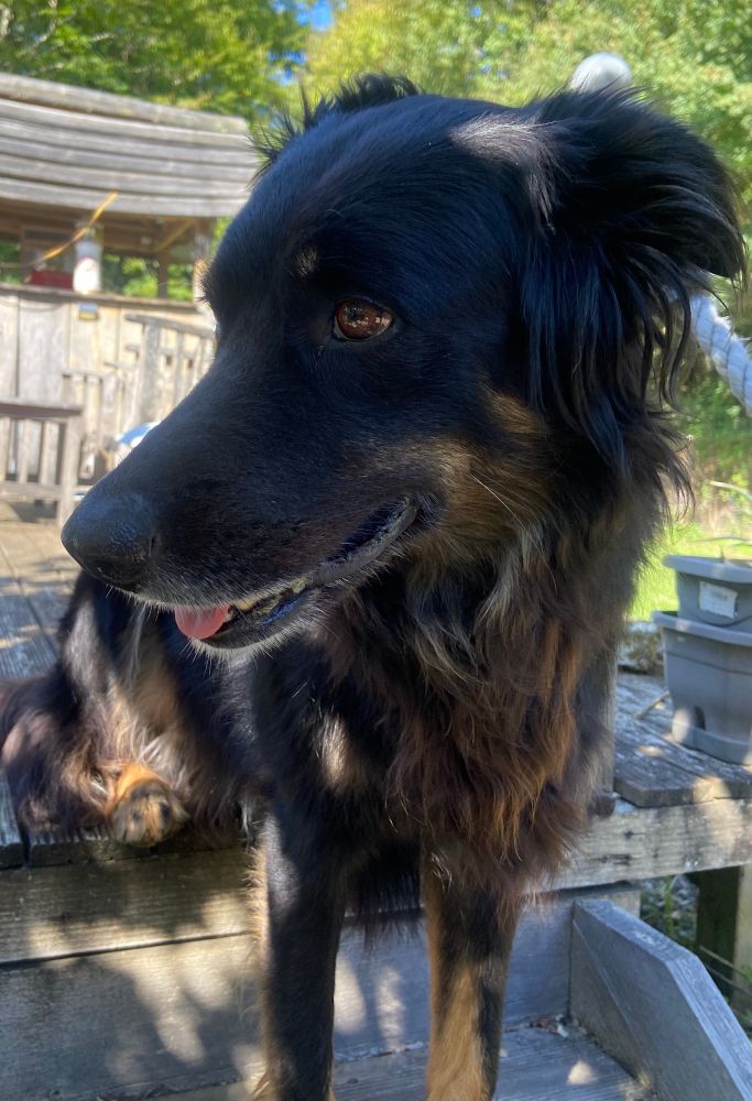 Isla looking adorable 