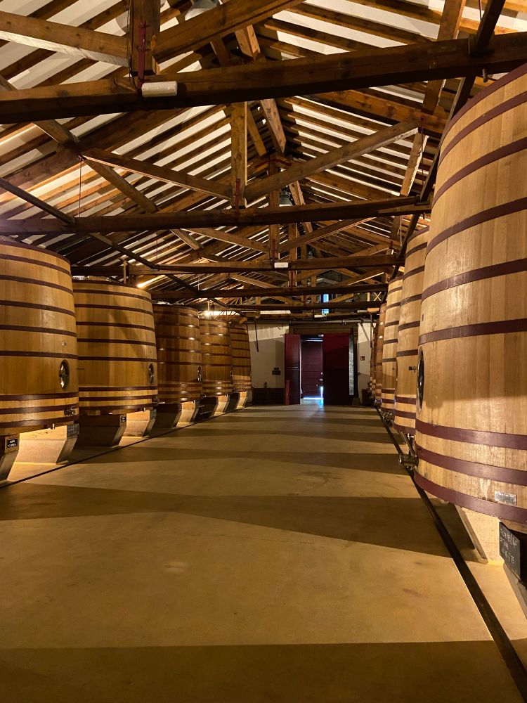 C.V.N.E wine cellar
