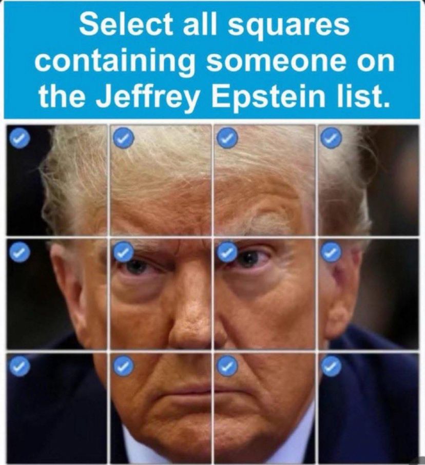 Capture test. Tick all squares containing someone on the Epstein list. All squares ticked over a picture of Trump.