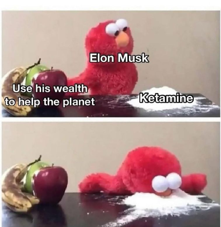 Musk. To his left using his wealth to help the planet. To his right a pile of ketamine.

Face first in the ketamine.