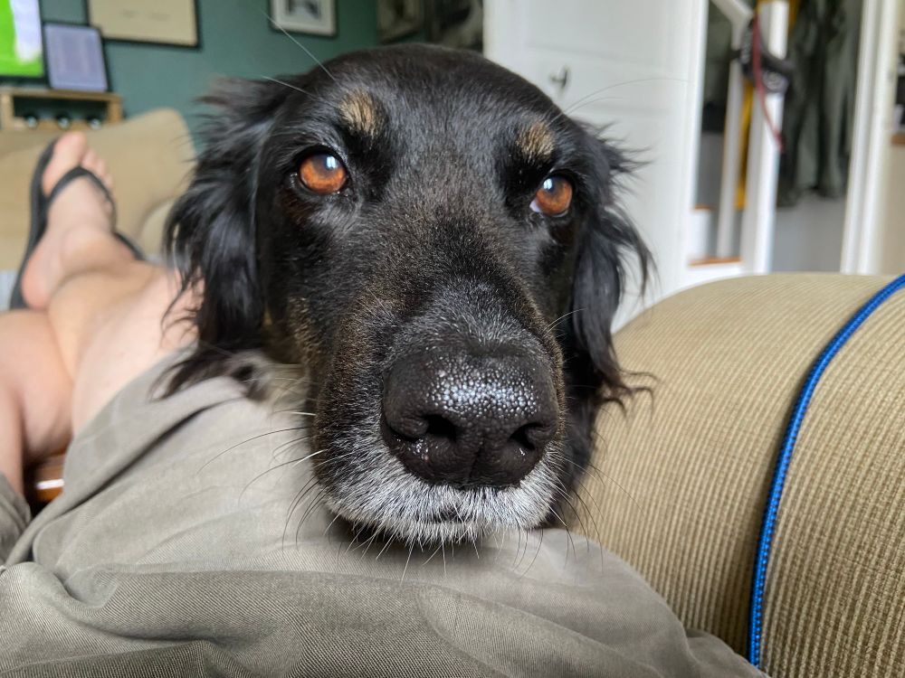 Isla looking adorable 