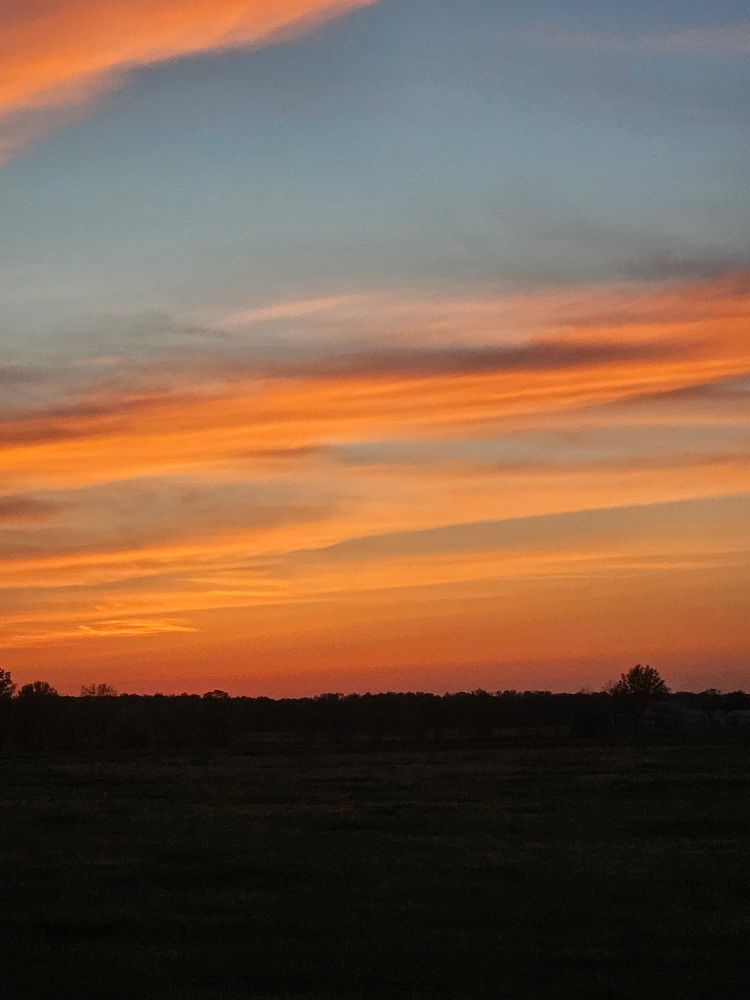 A picture of the sunset, streaked with mainly orange and blue.