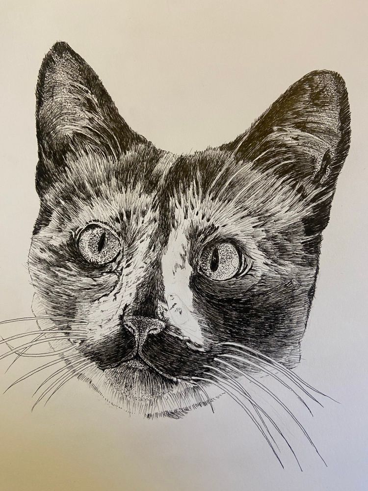 Posting my art work and would enjoy seeing what others are doing. 