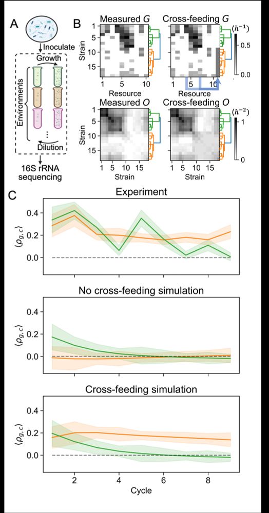 Figure showing experimental data. 