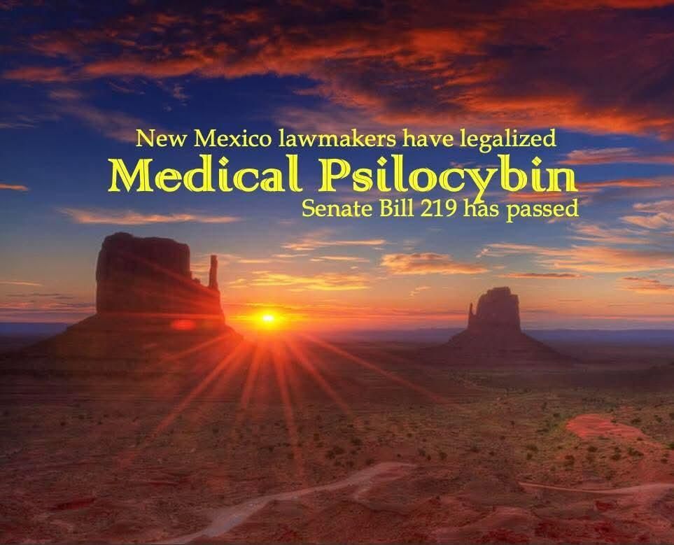 New Mexico has legalized psilocybin 