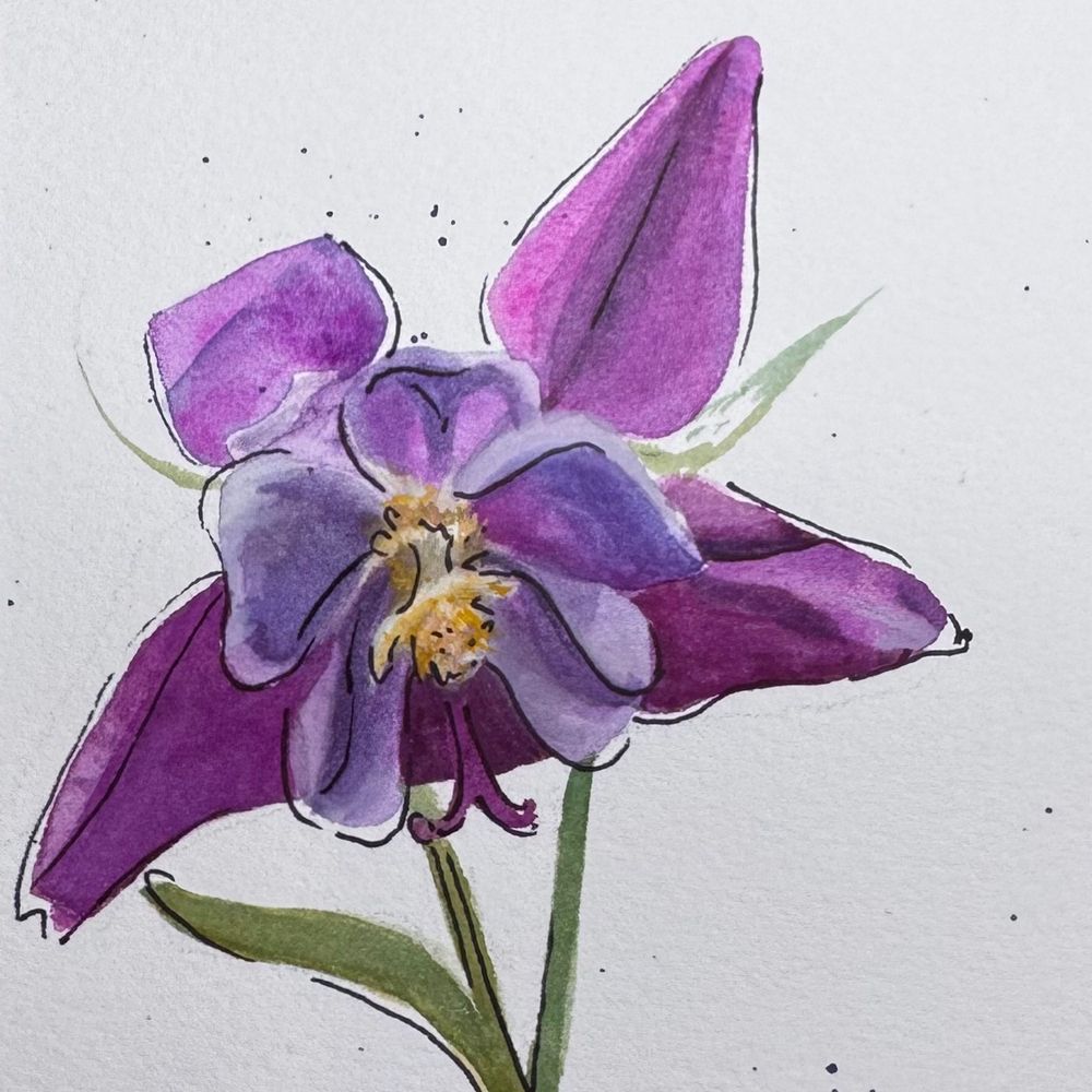 Gouache and Sharpie rendering of a purple daffodil 