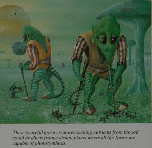 "These peaceful green creatures sucking nutrients from the soil could be aliens from a distant planet where all life-forms are capable of photosynthesis" 