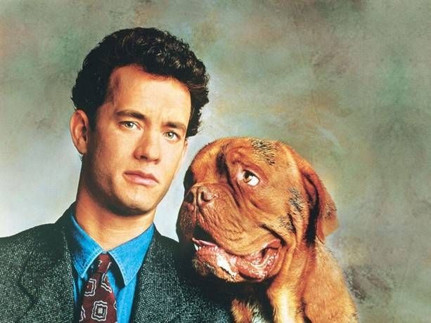 Tom Hanks and a dog, from Turner and Hooch.