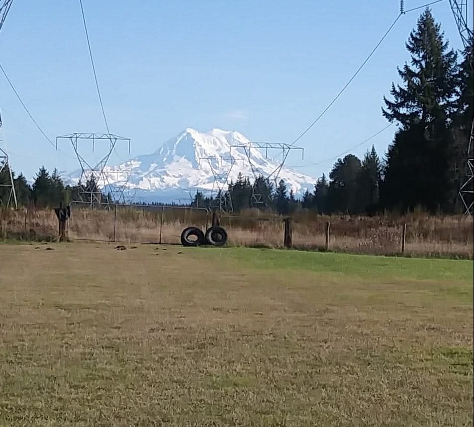 A grassy field in the foreground,  a fence with tires leaning up on it and Mt Rainier in the background.  This is a picture from my home.