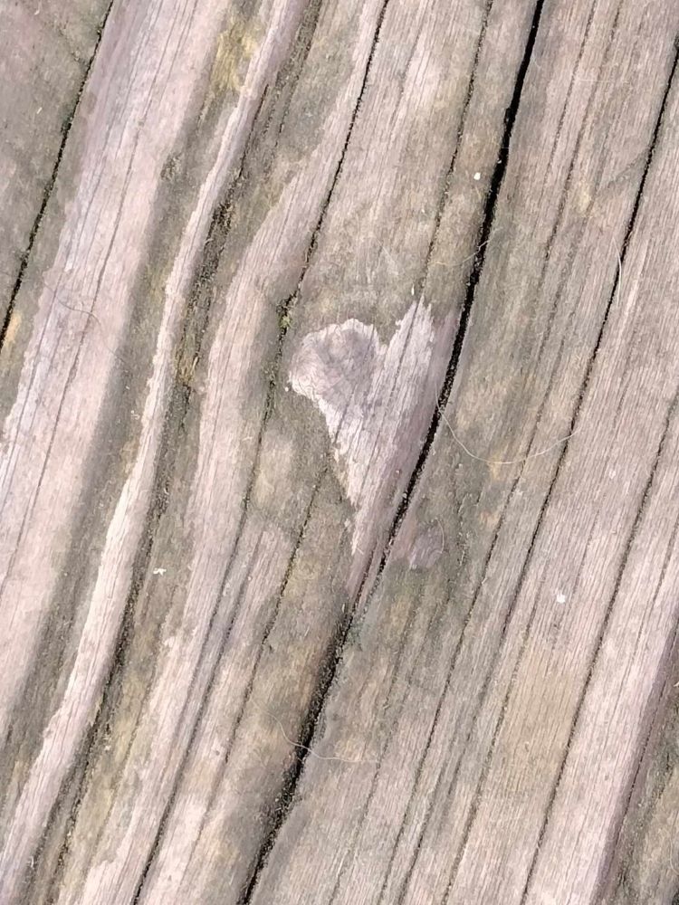 Pictures of wood planks on a deck. There is a heart in the pattern of the wood