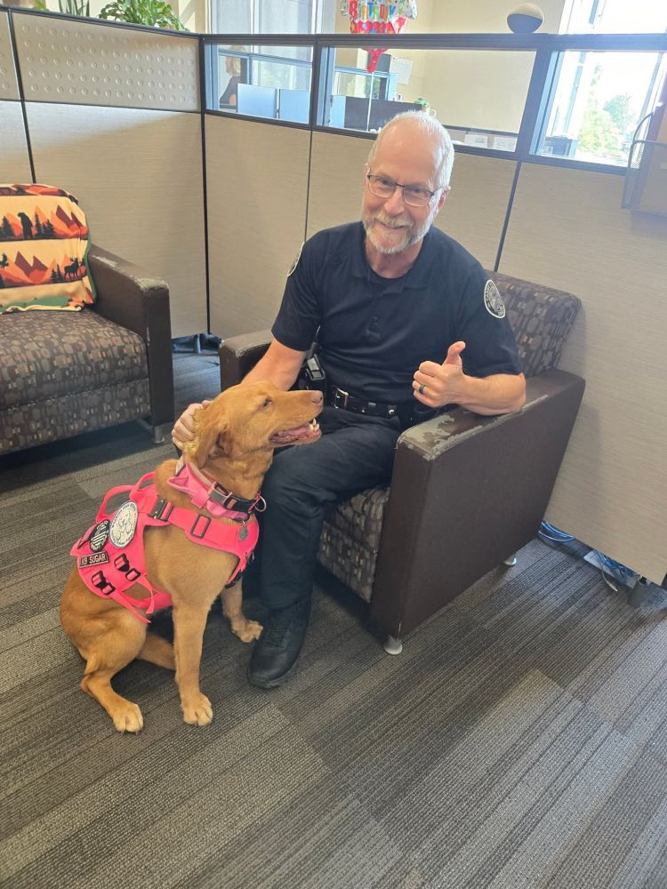 The Chief of an Oregon PD giving the thumbs up to Sugar (our yellow lab wearing a hot pink vest)