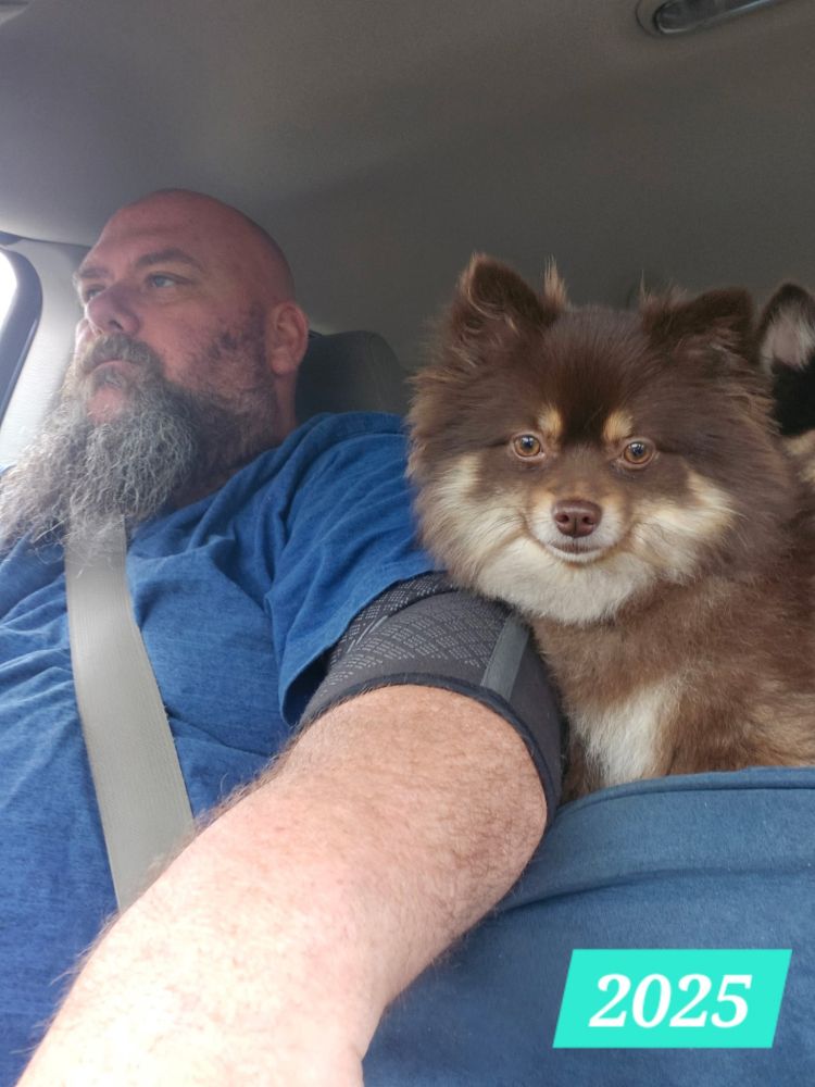 A year later, her thick, healthy coat that we have to cut every 6 weeks. Nova sitting in a car seat next to Sean.