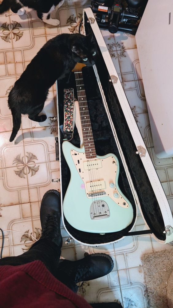 Fender Jazzmasters Guitar with a black cat stepping over it