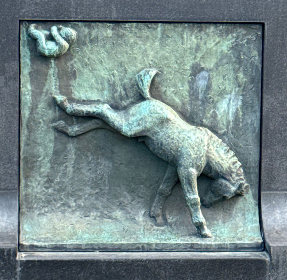 Comment image
