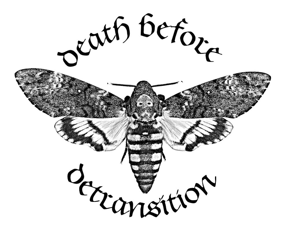A black and white image of Acherontia atropos, the African death’s-head moth. Around it, in calligraphic typeface, is the phrase “death before detransition.”