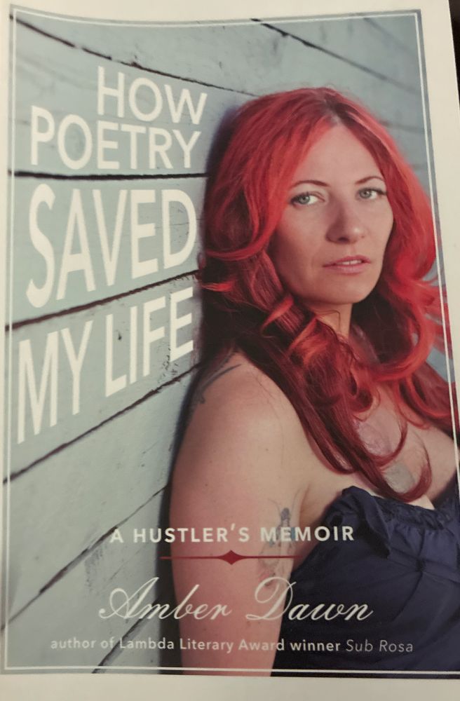 The cover of Dawn’s book in low light 