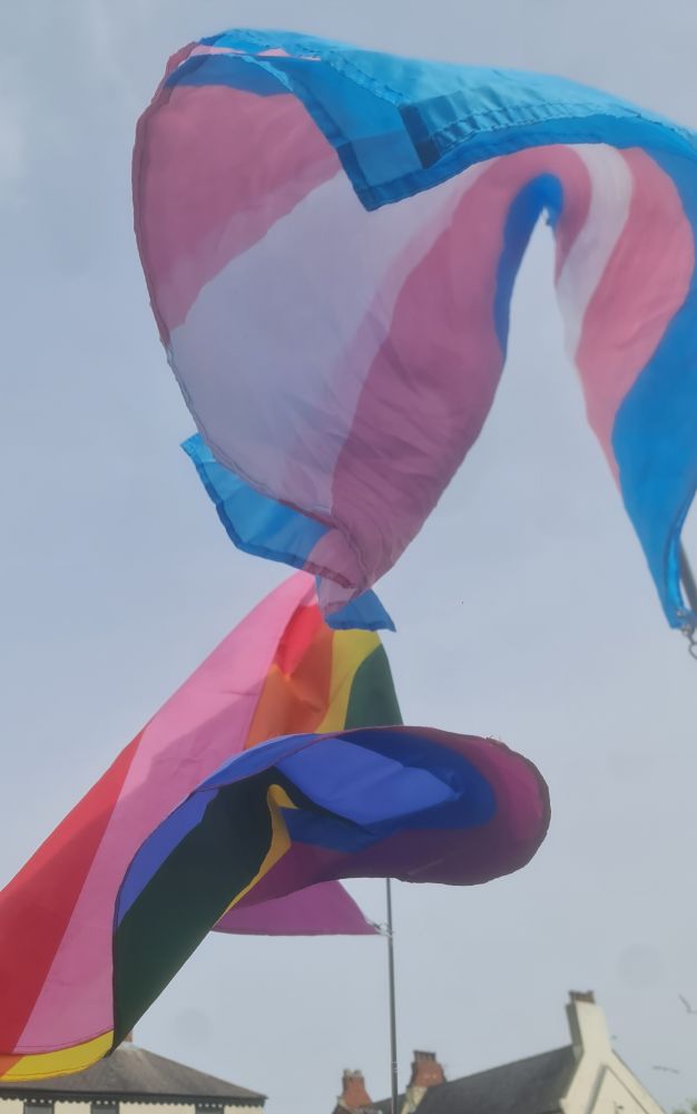 A trans pride flag and pride flag fluttering in the wind next to each other, the tops of houses in the background 