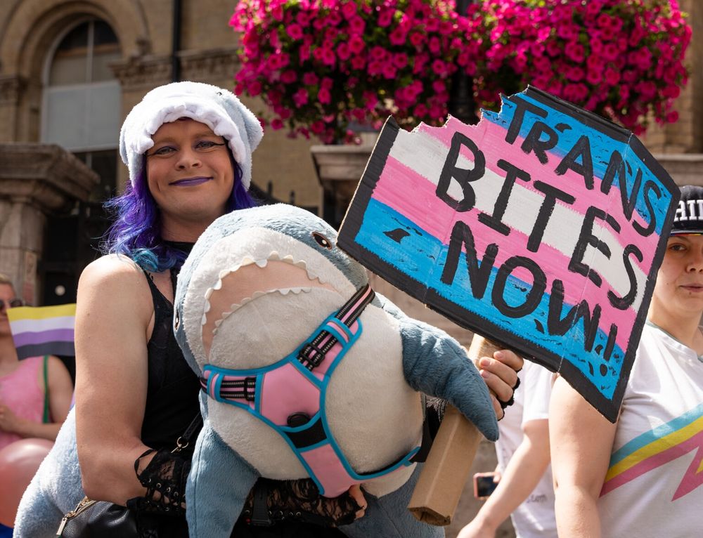 Person holding a blahaj under a bunch of flowers whilst holding a sign with a background of the trans flag and in front it says "trans bites now"