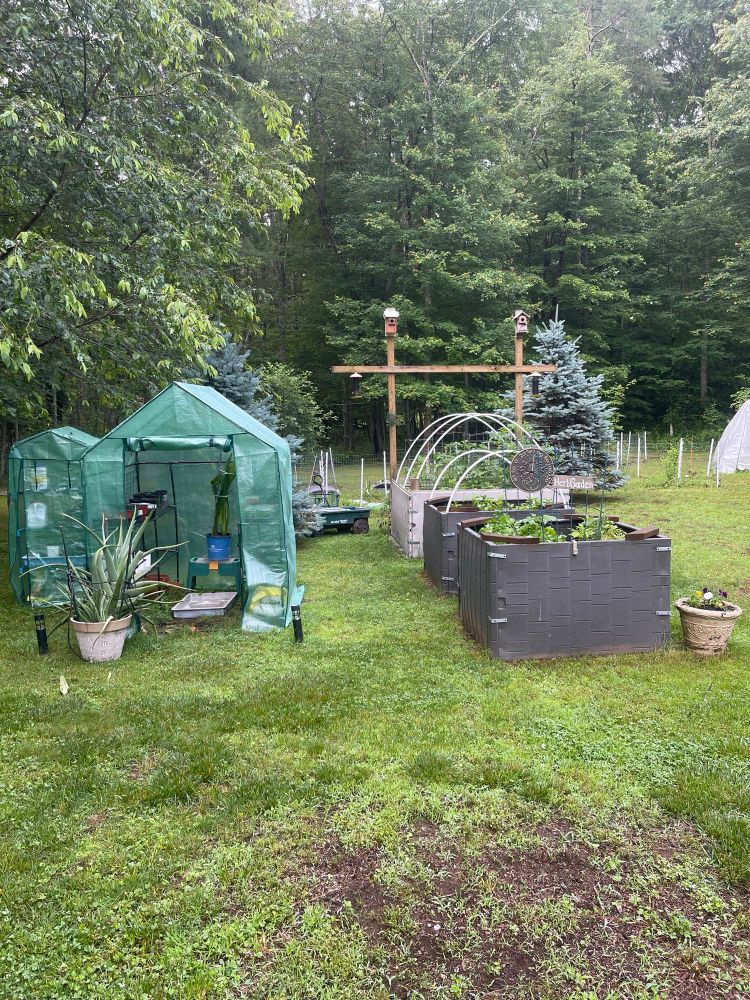 Raised gardens from old shed parts.