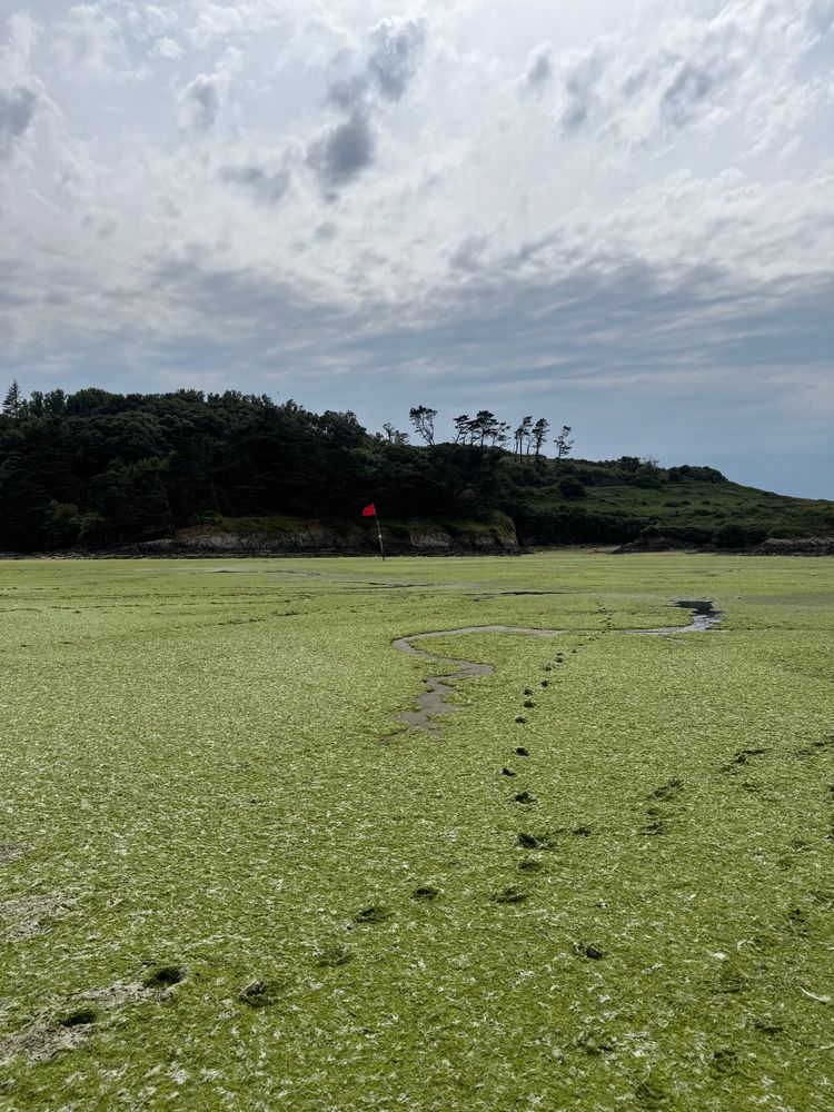 Plage de Sainte-Anne La Palud, Plonévez-Porzay, baie de Douarnenez, le 13 juillet 2025