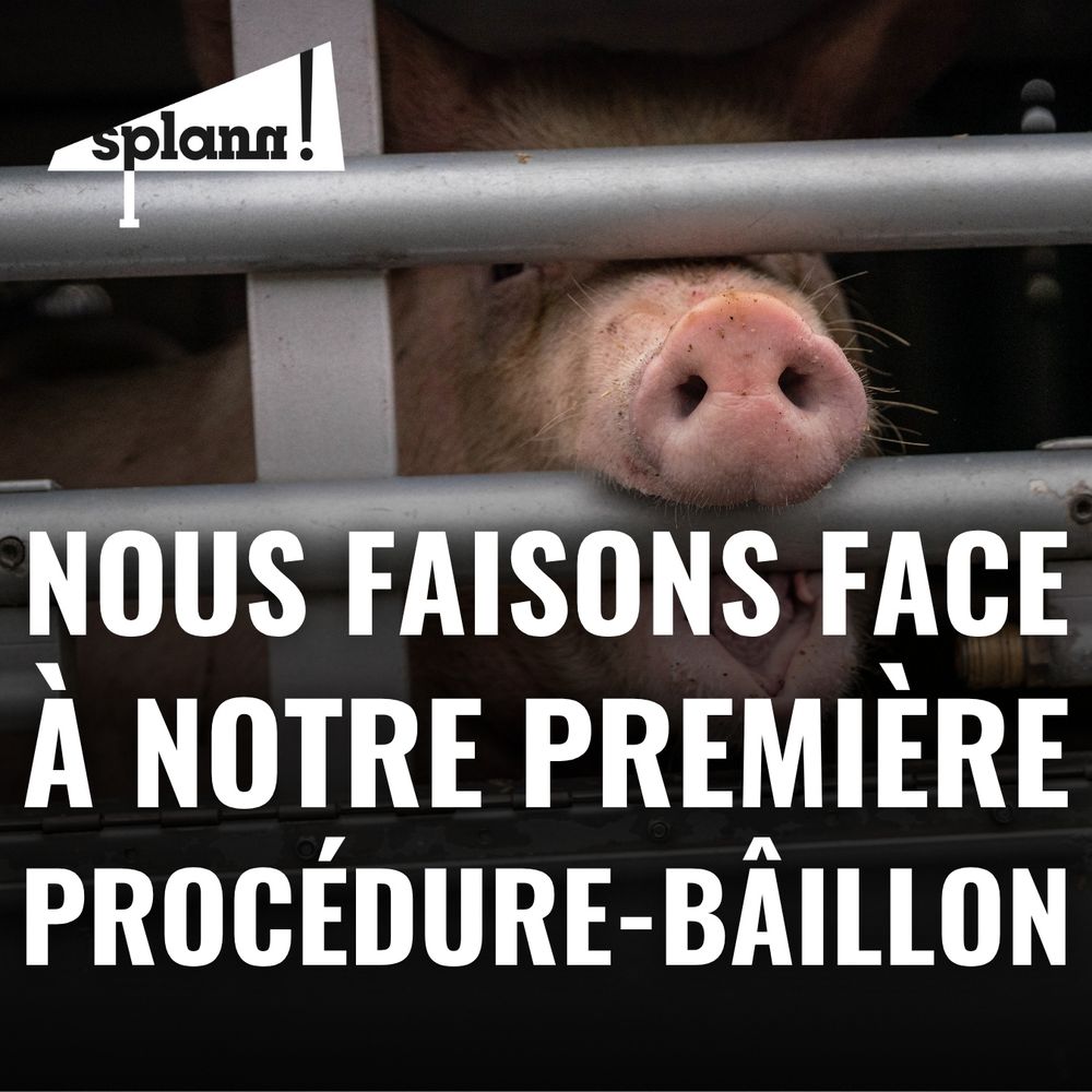 Nous faisons face à notre première procédure-bâillon