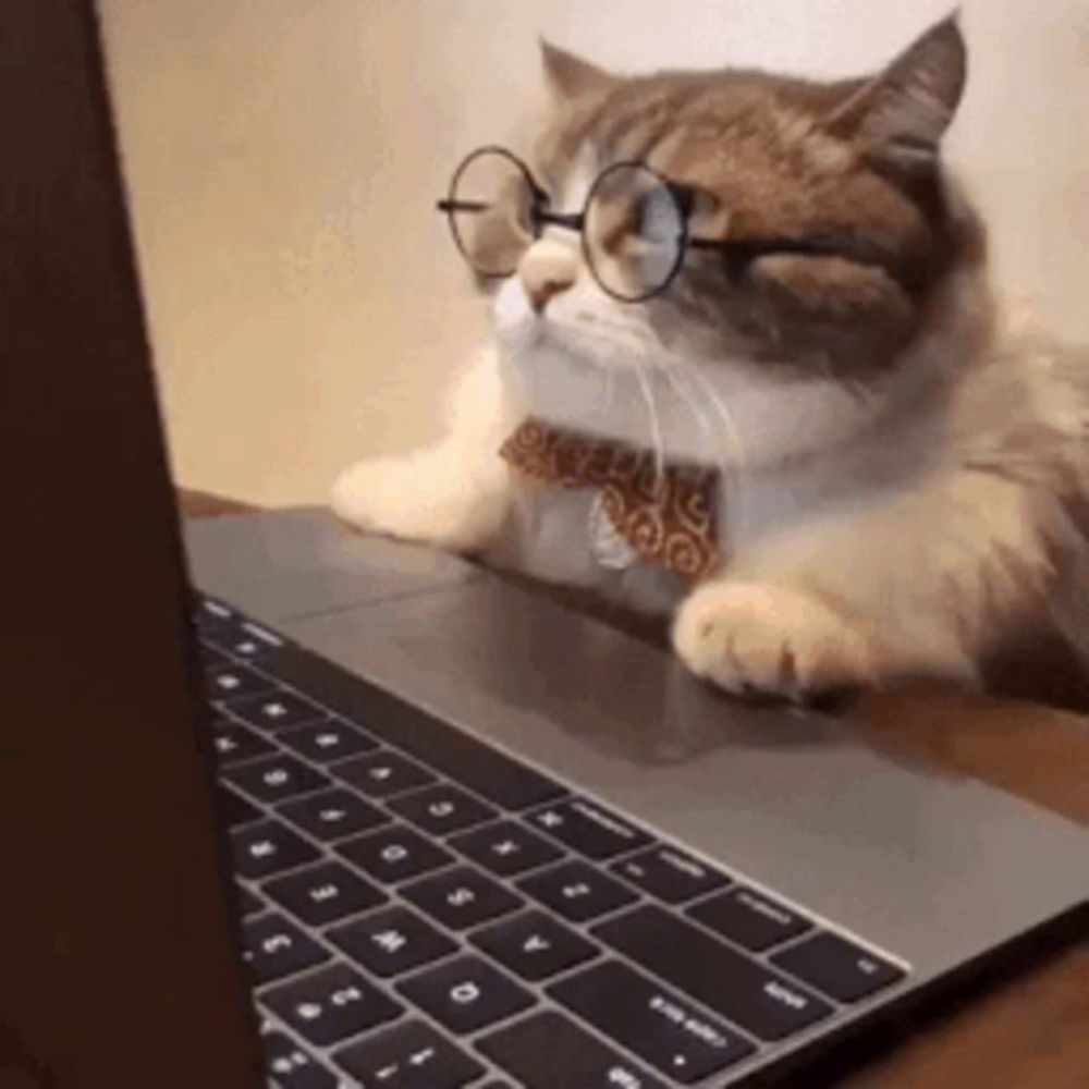 a cat wearing glasses and a bow tie is laying on top of a laptop computer .