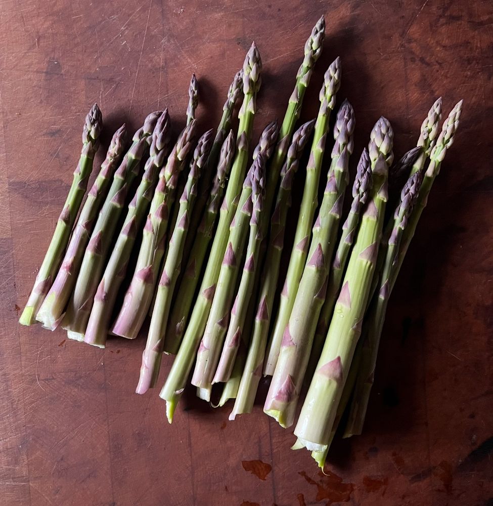 Fresh Asparagus on the butcher block. 