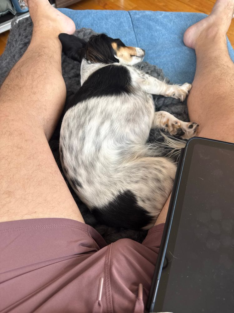 A furry, bearded man sitting in a chair with a pup asleep between his legs and an iPad resting on his right one. There is a rather obvious bulge in his shorts.