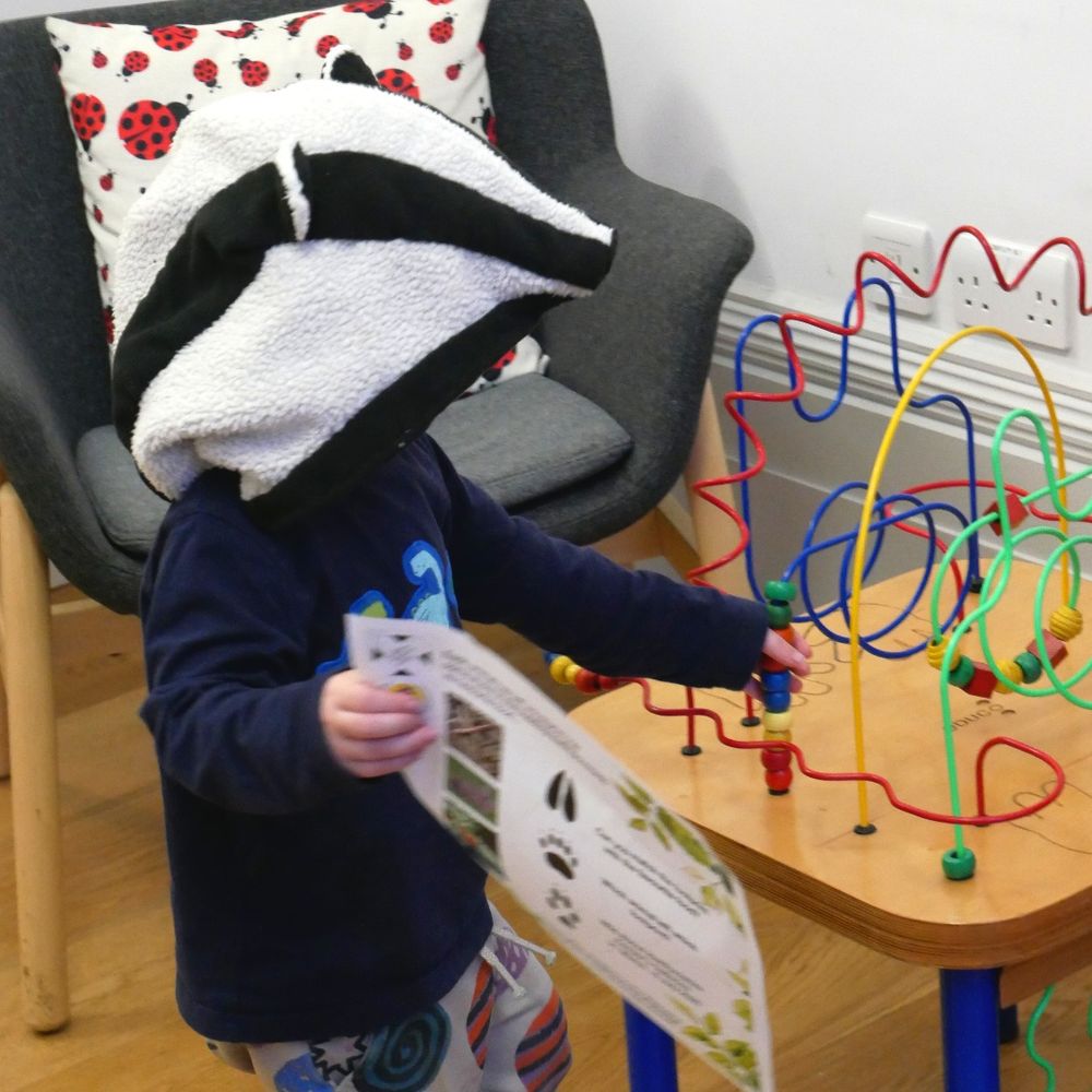 Badger dressing up
