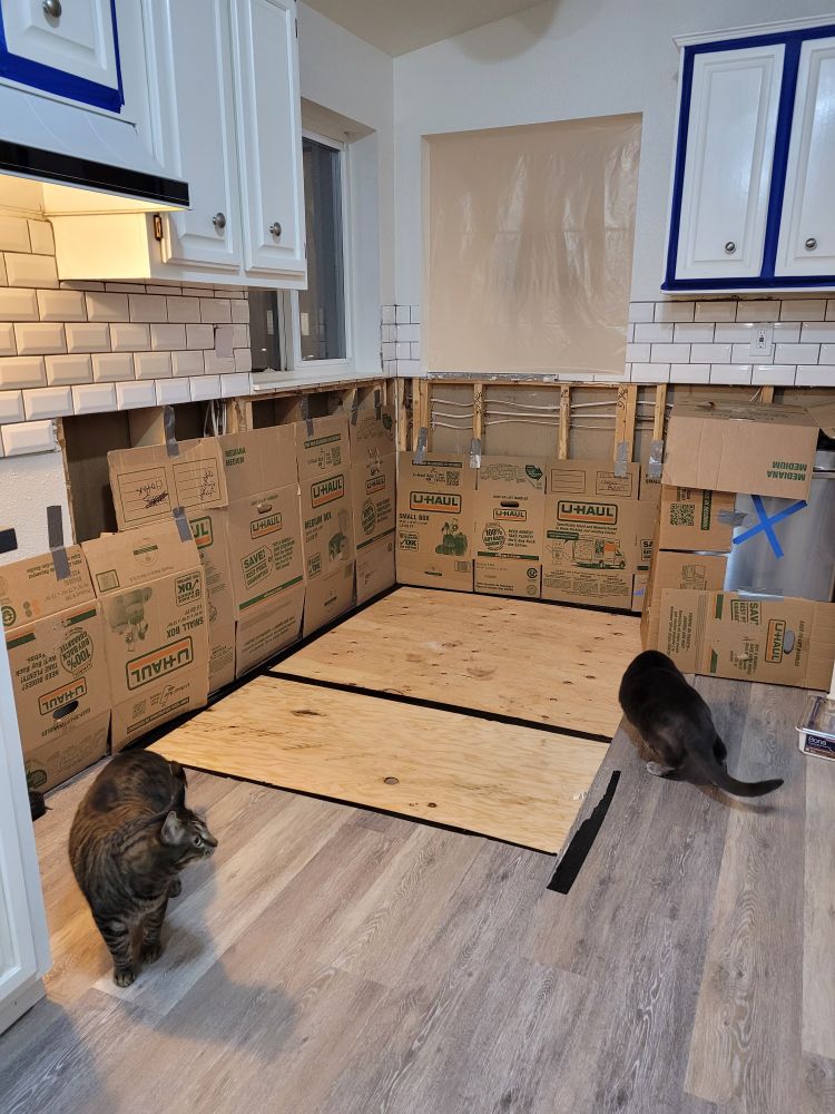 A kitchen corner demo'd down to the studs with cardboard covering the exposed wires, catproofed. 