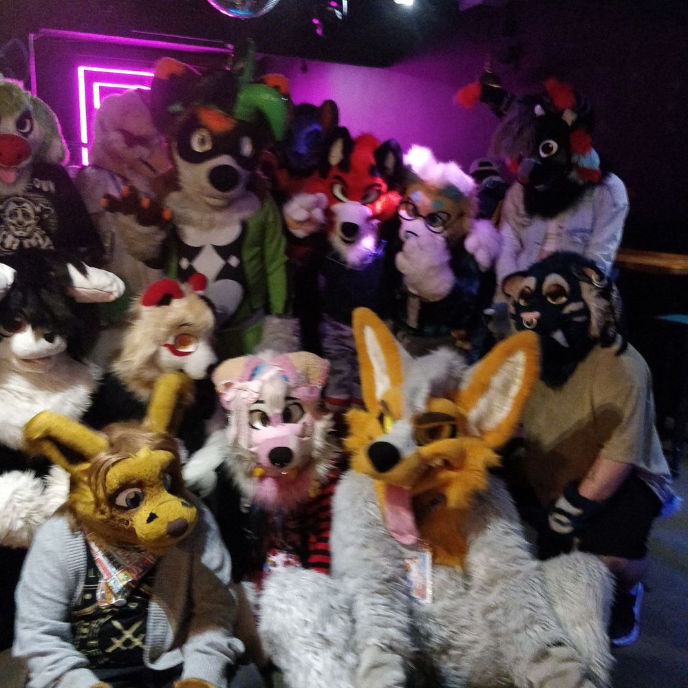 A picture of a variety of fursuits taking a photo