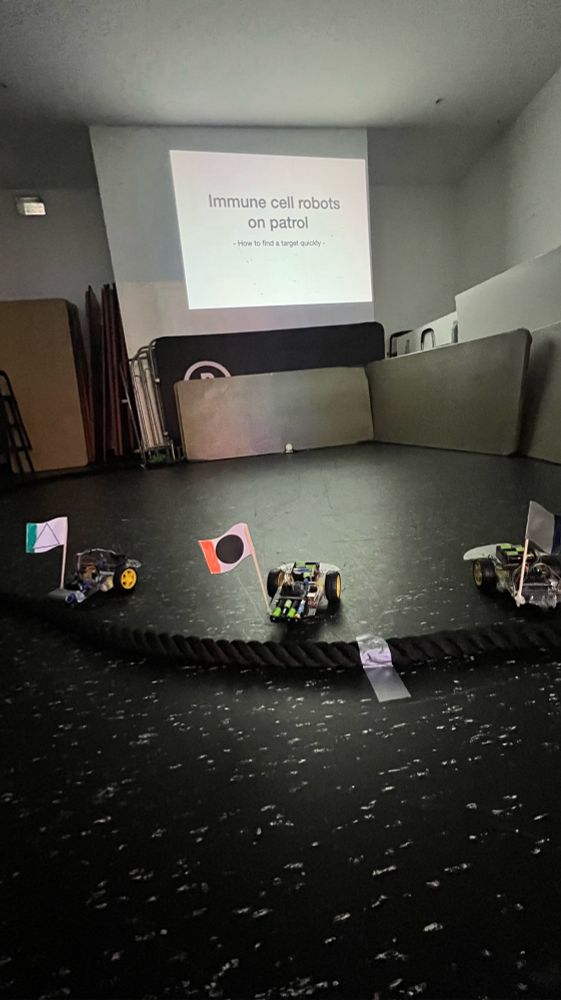 The light sensing robots, each with a different type of cellular motility and carrying a different coloured flag, lined up at the start line in a dark room. In front of them is a small LED light in the distance that they are looking to move towards. Above the light, is a projector screen with the text, “Immune Cell Robots on Patrol”.