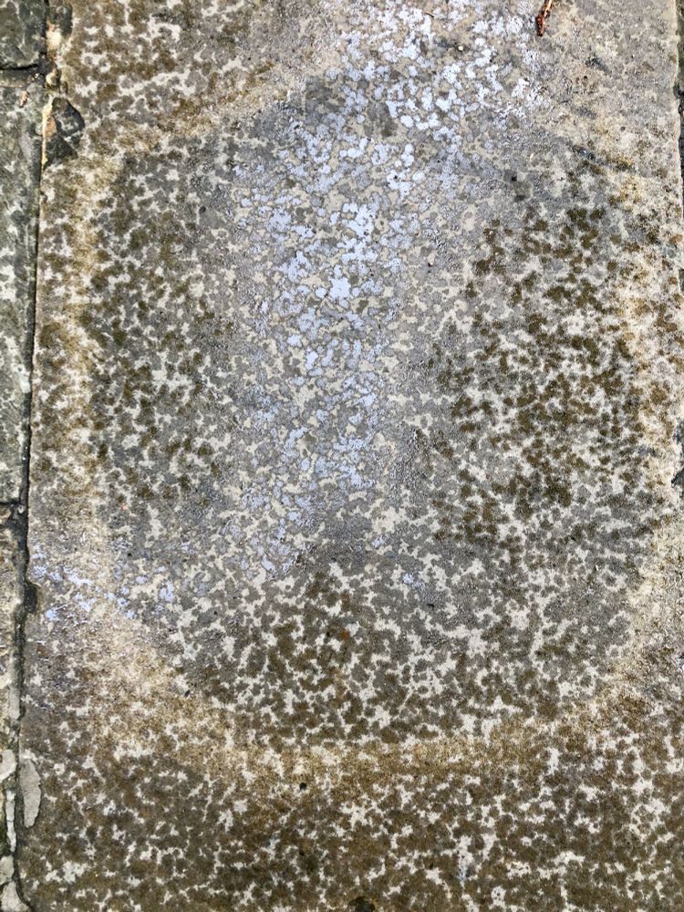 A vague circular pattern in the stone pavement slowly covered by raindrops.