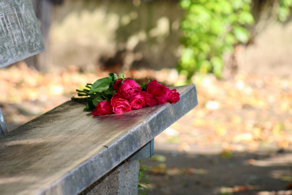 A bouquet of red roses abandoned on a wooden bench in Victoria Tower Gardens, London.