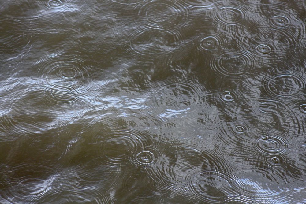 Raindrops making circles on a grey-green River Thames.